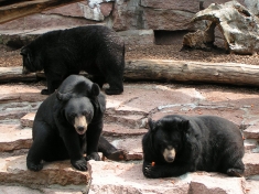 Zoo Halle (Saale)