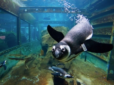 Zoo Hannover