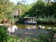 Zoo Hannover Deutschland
