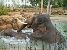 Zoo Leipzig