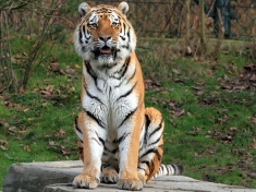 Zoo Wuppertal